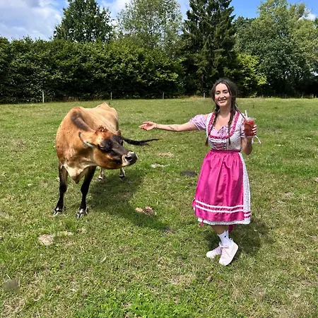 Gasthof Kamenný Dvůr Františkovy Lázně