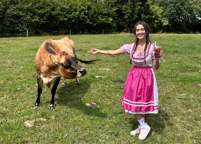 Gæstehus Kamenny Dvur Františkovy Lázně